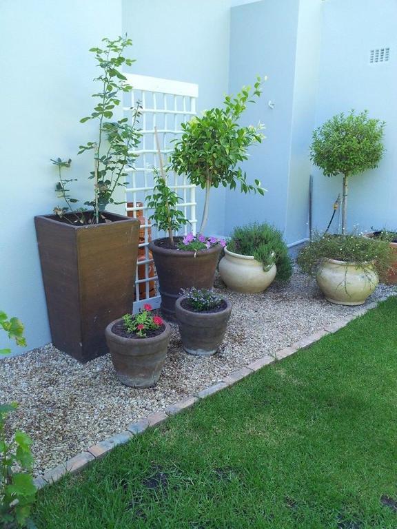Oak Village B&B Stellenbosch Bagian luar foto