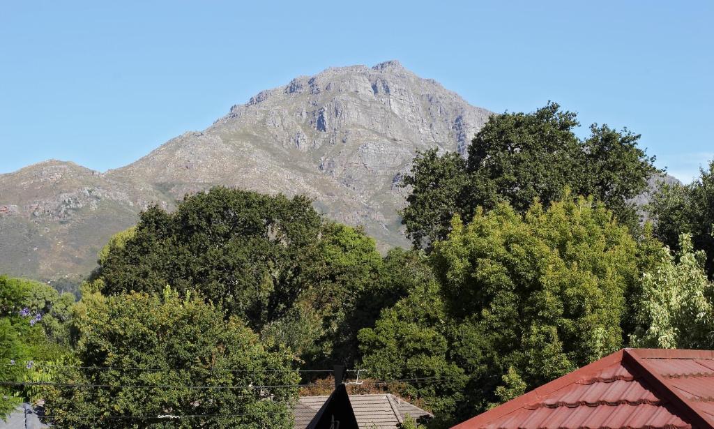 Oak Village B&B Stellenbosch Ruang foto